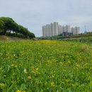 거열빌라 이미지