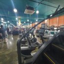 스테디 휘트니스(안중점) 이미지