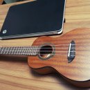 우쿨렐레(중,고급) 이미지