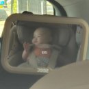 산서로 | 베이비페어365에서 '시크 맥스 아이리스 프로' 카시트 내돈내산 구매&amp;설치 후기! (지역화폐 꿀팁까지)