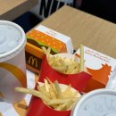 ㈜두바이항공투어 | 신혼여행 07. 두바이공항 에미레이트항공 폭우 지연 후기, 몰디브 수상비행기 탑승불가 후기