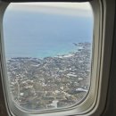 태백산식당·튀김 | 부산에서 떠난 제주 가족여행 후기🏝 20개월 아기 &amp; 20주 임산부 동반