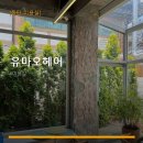 유마오헤어