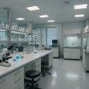 바이오프론트 | 20조 돌파한 K바이오 대형 계약은 늘었고 건수는 줄었다