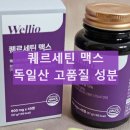 웰리오 퀘르세틴 성분 및 효능 정리 부작용과 후기까지 공유