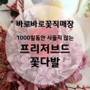 광주생화꽃직매장