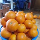 준이농장1 이미지