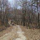 초안산헬기장 이미지