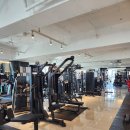 옐로우 짐 이미지