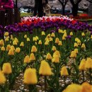 연지공원1 이미지