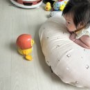 덕디자인 | 생후 3개월 아기가 푹 빠진 움직이는 오리 장난감! 프랜디(PRAND) 패밀리덕 후기
