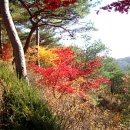행운공인중개사 이미지