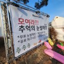 한국전력공사 파주지사 앞(2) | 파주 무료 눈썰매장 카페 2026 뮌스터담 주말 후기 정보