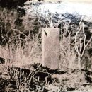 한선제 | 아~! 주어사(走魚寺)와 천진암(天眞庵)이여~!