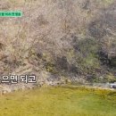동원카