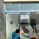 더데일리펫샵 이미지