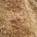 정식농장 이미지