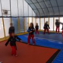 한미경희태권도 이미지