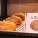 앙꼬네 빵집