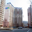 신성 팔남매공인중개사사무소 이미지