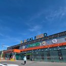 강동농협강동하나로마트 | 경주 강동 농협 하나로마트 로컬푸드 직매장