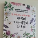 백세장수약초
