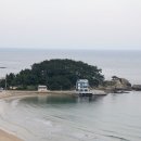 죽도공원 네이버블로그