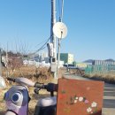 딸기밭 부농 이미지