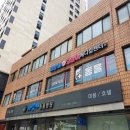 파랑새 동물병원 | 금천구 시흥동 동물병원_ 파랑새동물병원_ 8살 고양이 정기검진_ 꼬물이 다이어트 해야 함