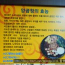 왕십리양곱창 이미지