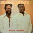 Sam &amp; Dave - Hold On, I&#39;m Comin&#39; 이미지