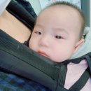 경대연합의원 이미지