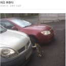글로벌굿즈 이미지