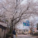 색달동-19 이미지