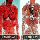 황덕선과메기 김해장유점