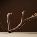 과천경희S한의원 이미지