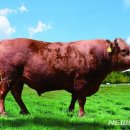 김진호농장 이미지