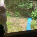 안동묵집 이미지