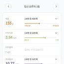 다 폴다