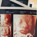 연앤네이쳐산부인과의원 이미지