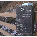 남산레포츠 이미지