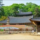 마곡사경내 이미지