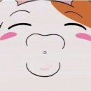 아끌로네 이미지