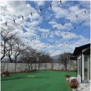 잔디밭민박 | 자연 속에서 우리만의 시간을 보낸 공주민박 자유민박 독채 풀빌라 가족여행 후기