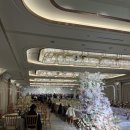 강남캠퍼스호텔A동 | 반짝이는 조명이 예쁜 예식장 강남 역세권 르비르모어 / 홀투어 후기 / 웨딩홀 장단점,정보