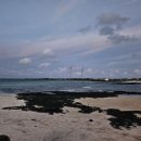 사랑이 꽃피는 민박 이미지