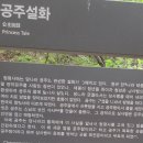우림 이미지