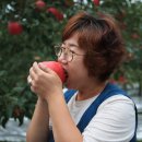 영임농장 이미지