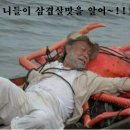 명량돼지