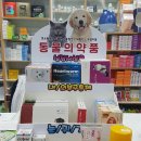 연희약국 이미지